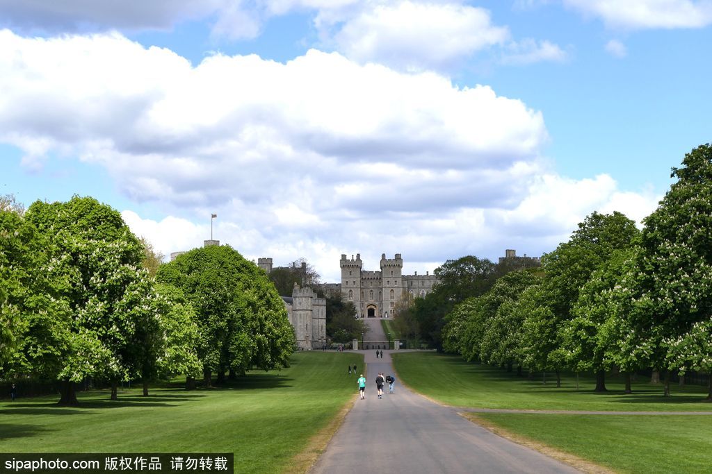 走進如畫英倫莊園 感受午后明媚春光