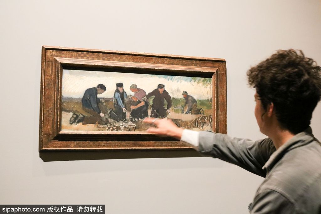 全球獨家！世界上首個梵高個人作品展在墨爾本舉辦