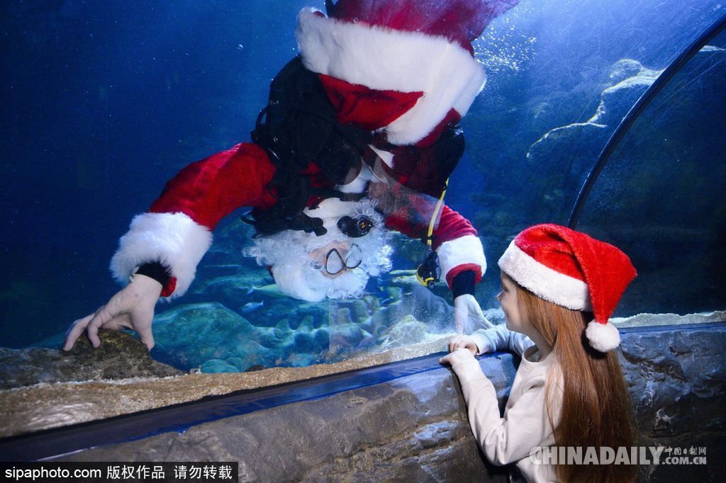 拼的就是創(chuàng)意 盤(pán)點(diǎn)水下世界趣聞不斷