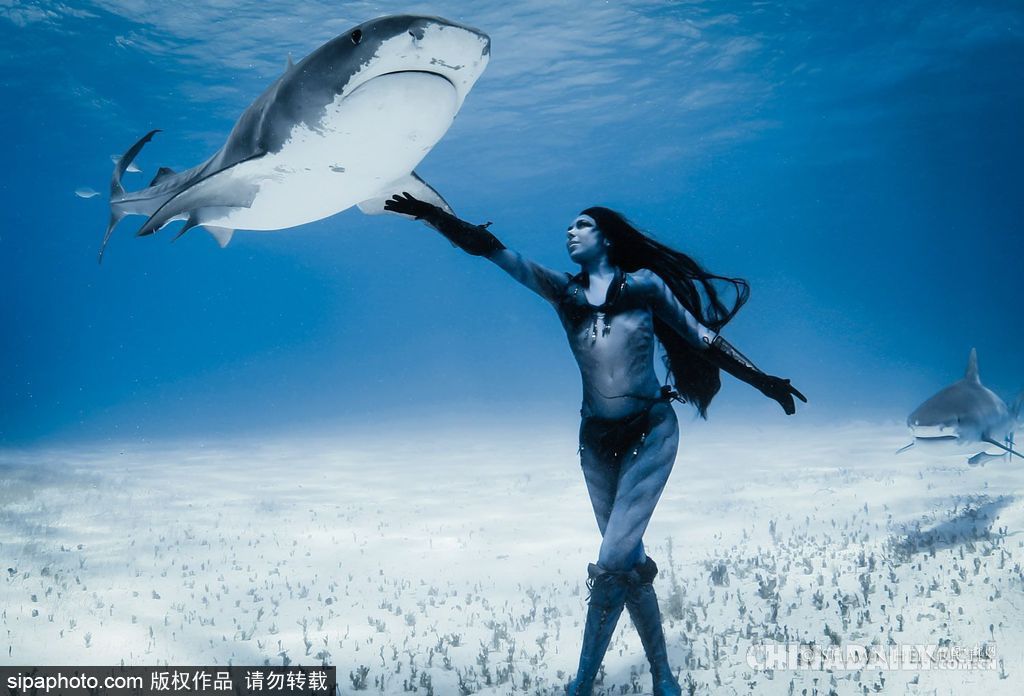 拼的就是創(chuàng)意 盤點水下世界趣聞不斷