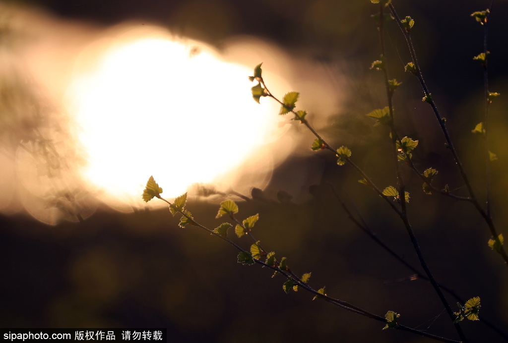 俄羅斯伊萬(wàn)諾沃州春日風(fēng)光 寒意未退清新絕美