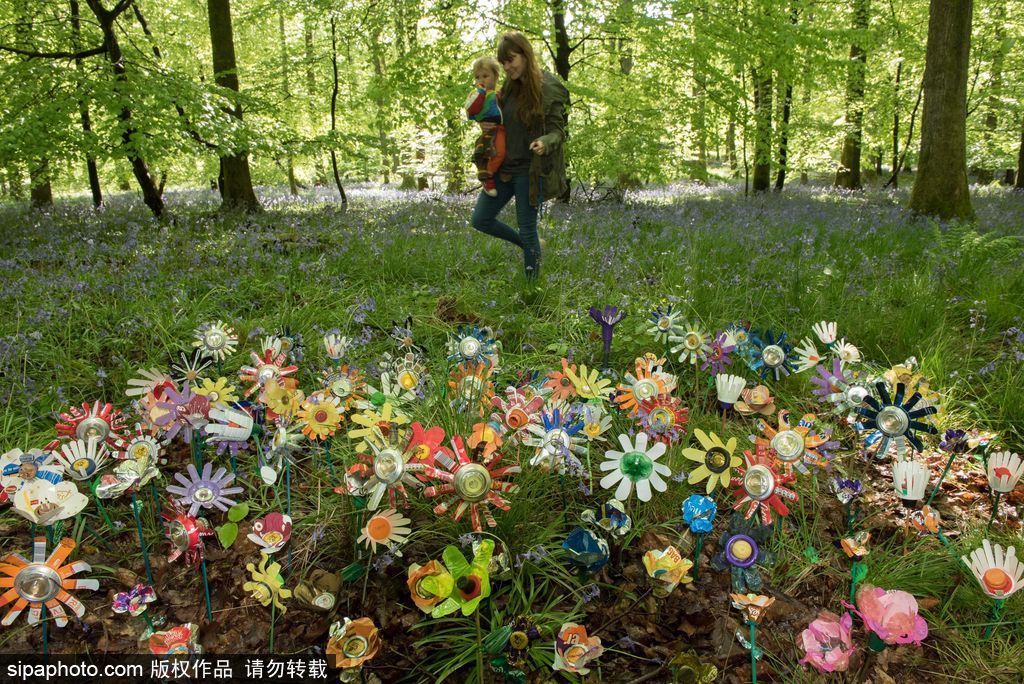 垃圾也是美麗的存在 英國迪恩森林“廢品”花叢