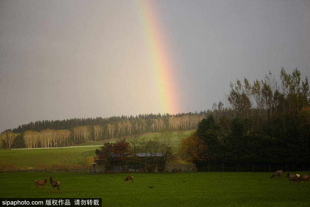 世界自然遺產“綠寶石之地”——新西蘭峽灣國家公園