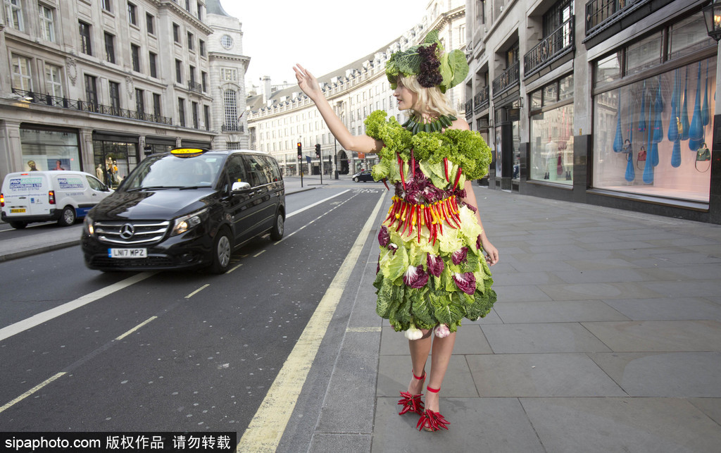 時尚bug沖擊！ 英國模特展示沙拉材料制成服裝