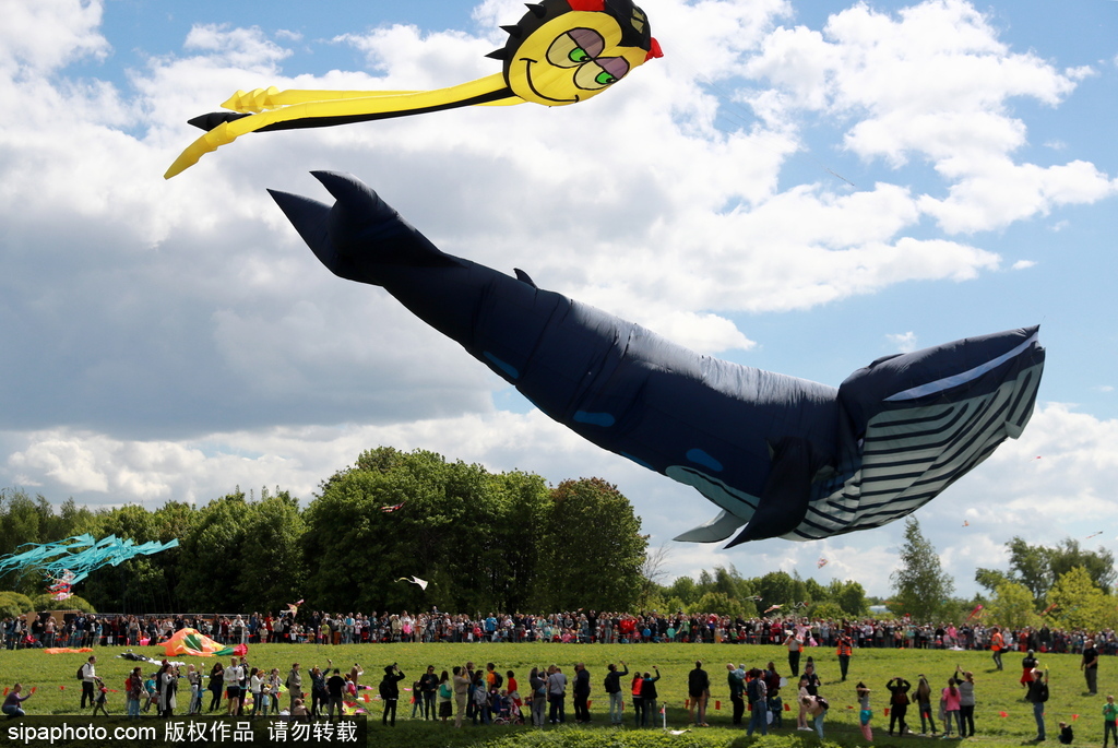 俄羅斯莫斯科舉行風箏節 五彩繽紛點綴藍天