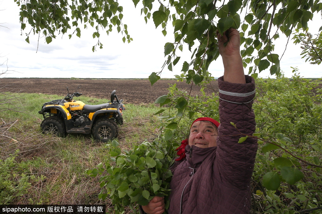 厲害了！俄羅斯老人開全地形車犁地超拉風