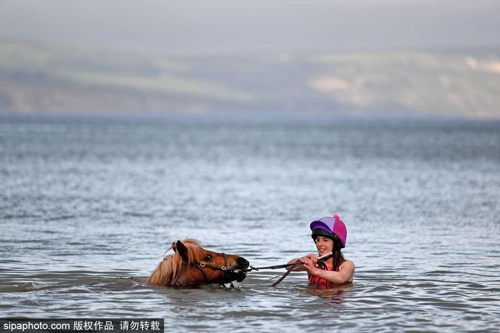 英國多塞特高溫來襲 女孩騎馬下河降溫