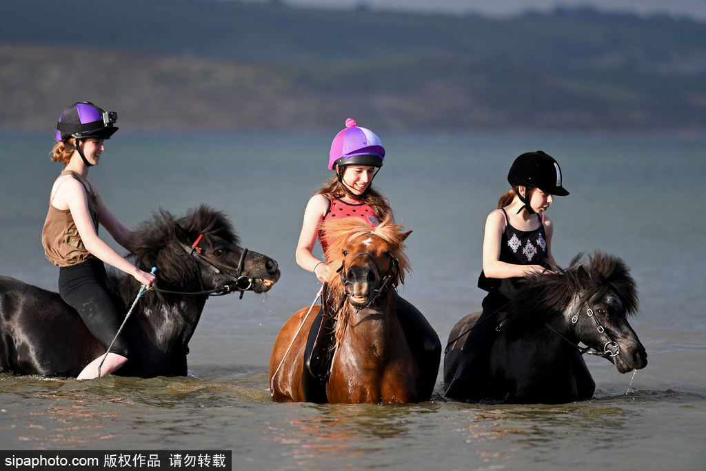 英國多塞特高溫來襲 女孩騎馬下河降溫