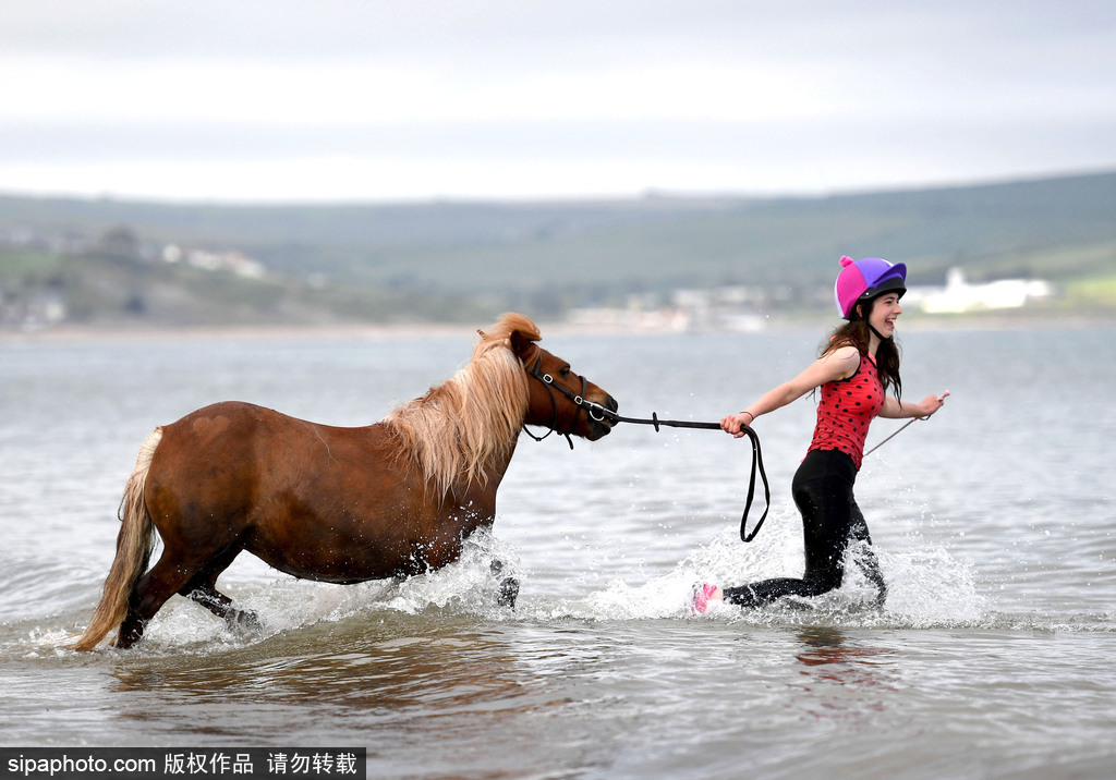英國多塞特高溫來襲 女孩騎馬下河降溫
