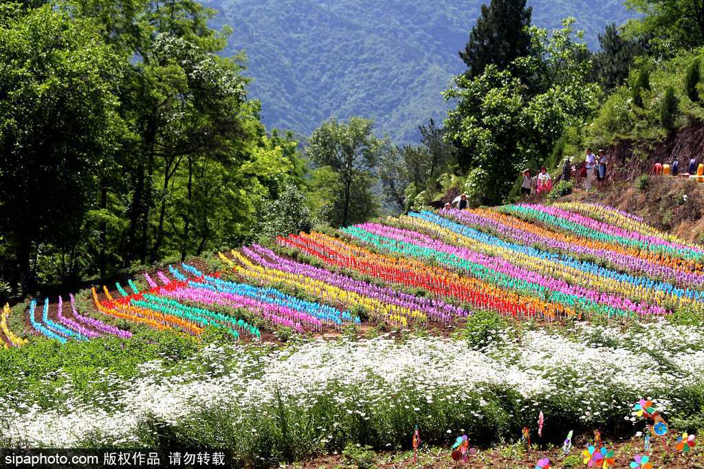 河南：數萬風車裝扮七彩大地場面壯觀震撼