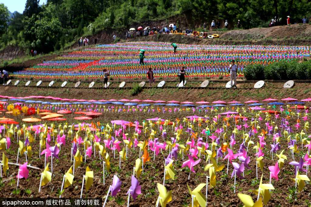 河南：數萬風車裝扮七彩大地場面壯觀震撼