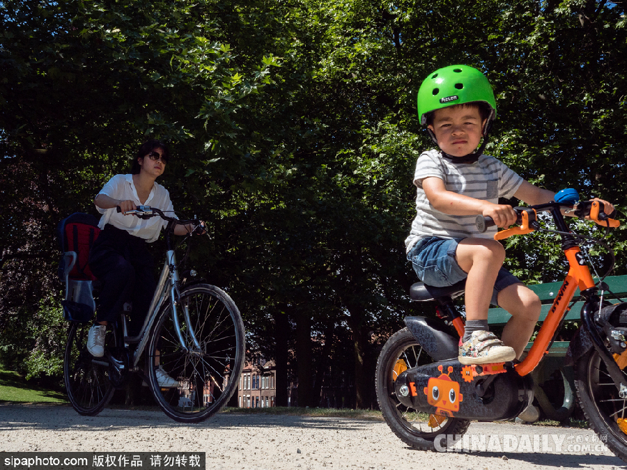 比利時布魯日迎來旅游旺季 夏日風光清新亮麗