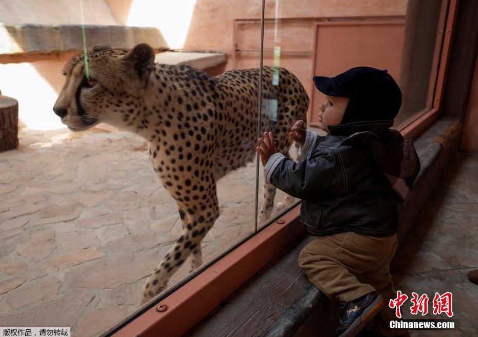 【兒童節特刊】童真的模樣