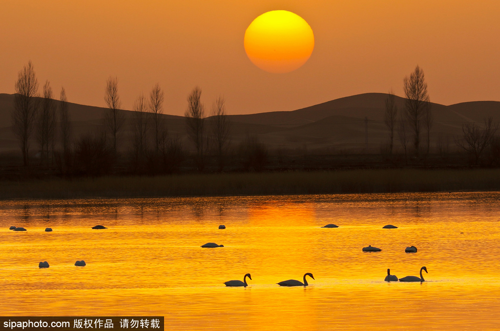 世界環(huán)境日 盤點(diǎn)國內(nèi)絕美濕地風(fēng)光