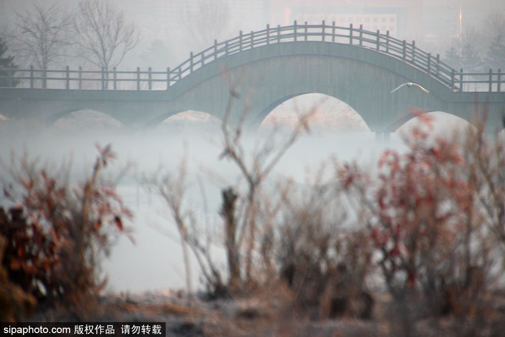 世界環(huán)境日 盤點國內(nèi)絕美濕地風光