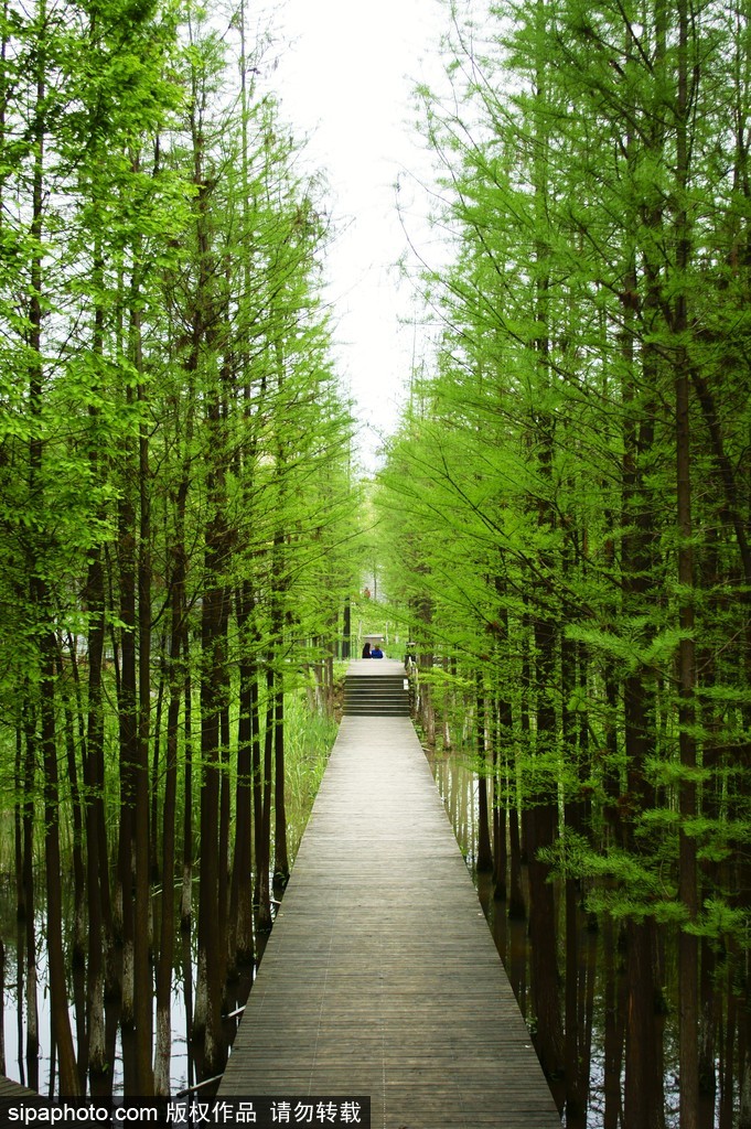 世界環(huán)境日 盤點(diǎn)國(guó)內(nèi)絕美濕地風(fēng)光