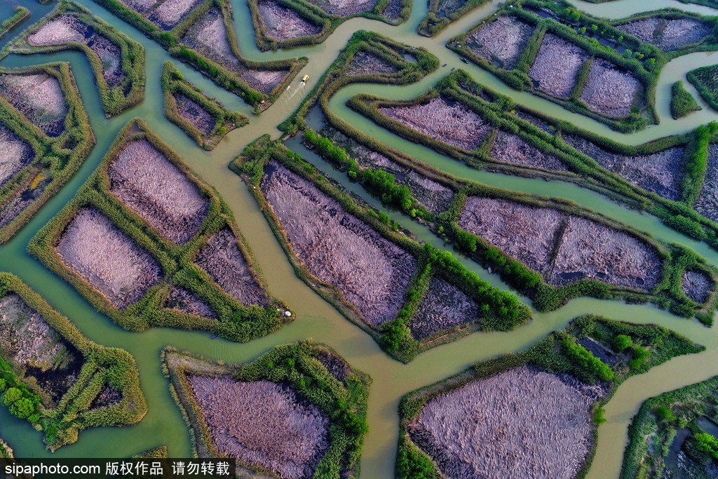 世界環境日 盤點國內絕美濕地風光