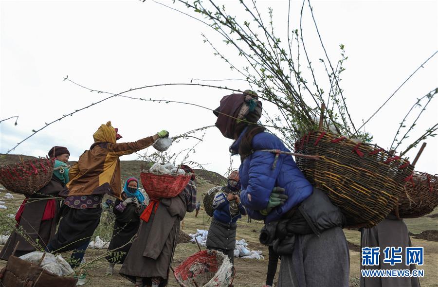 川西高原斗沙記