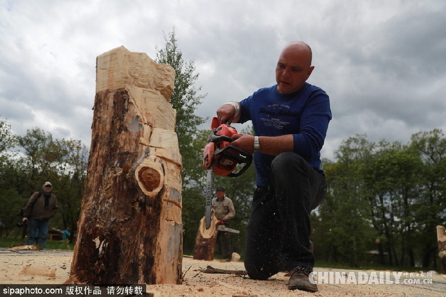 俄羅斯莫斯科舉行首屆根雕藝術(shù)節(jié) 形態(tài)各異