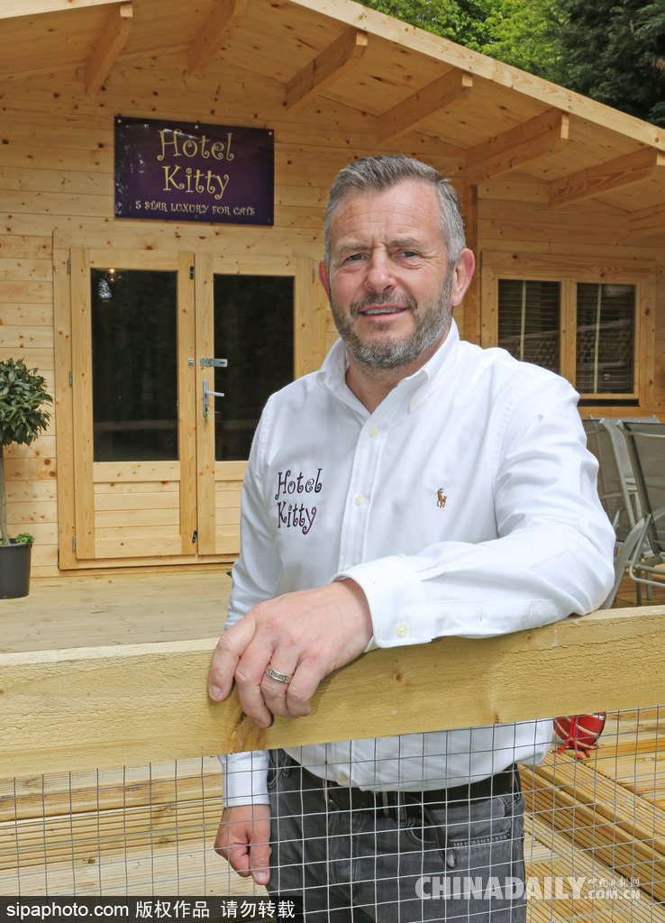英國(guó)現(xiàn)超豪華貓舍旅館 電視美食spa樣樣俱全