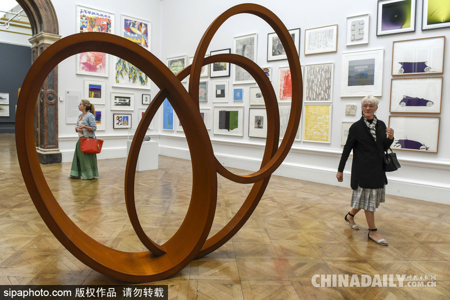 英國皇家學會2017夏季科學展 用藝術展現科技