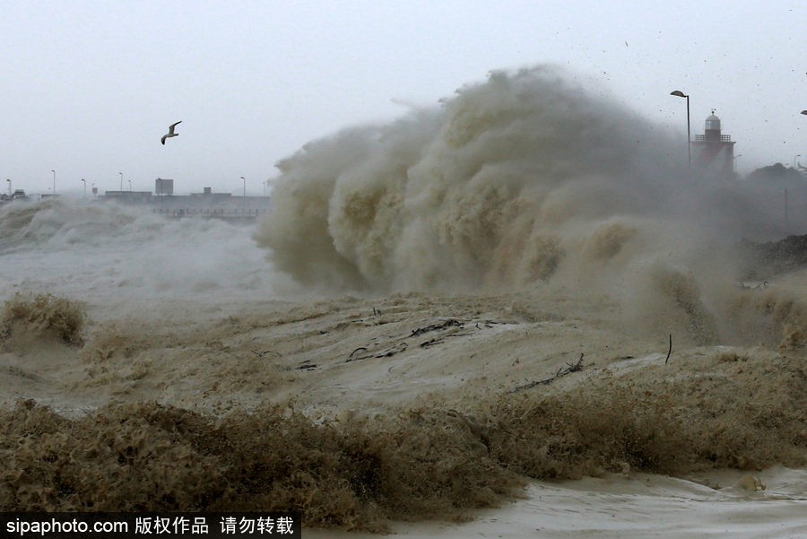 南非遭風暴襲擊 大風掀巨浪席卷街道
