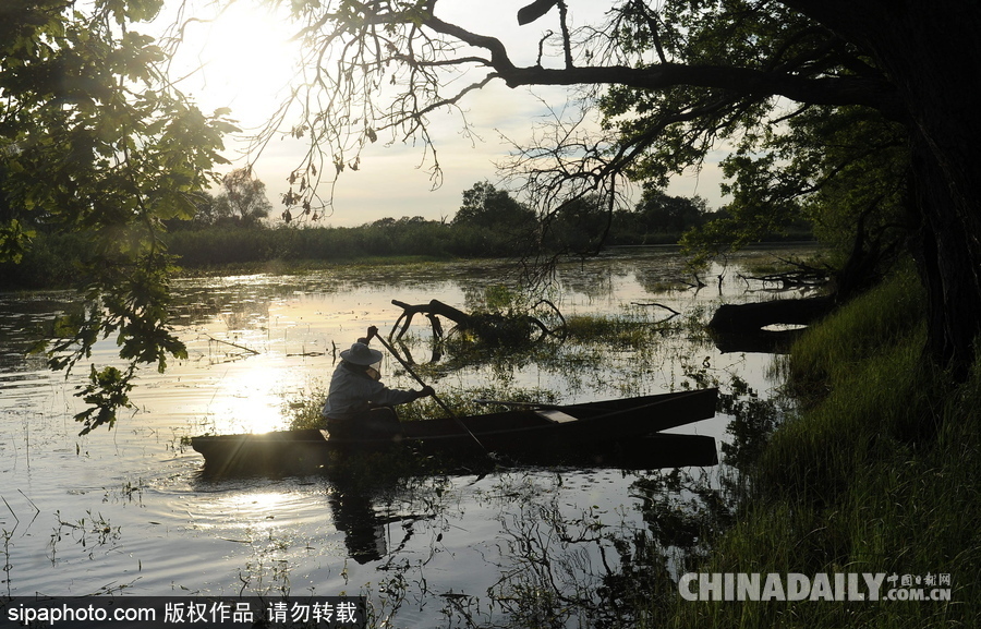 深山里的原生態(tài)蜂蜜 探訪白俄羅斯養(yǎng)蜂農(nóng)場(chǎng)