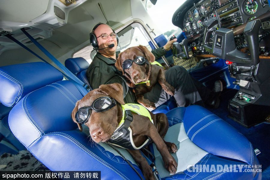 網(wǎng)紅范十足 盤點(diǎn)動(dòng)物界選手“人模人樣”