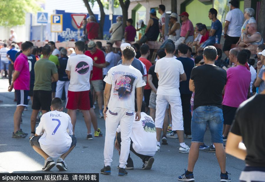 西班牙托雷洪市舉行奔牛節(jié)活動(dòng) 眾壯漢遭公牛追逐落荒而逃