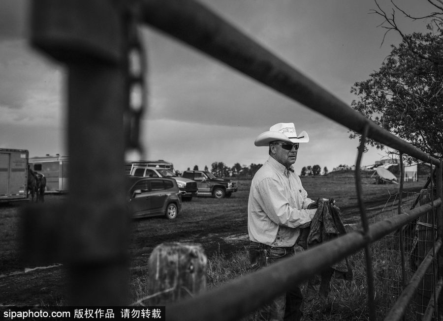 走進牛仔之鄉加拿大亞伯達 喚醒你心底沉睡的野馬