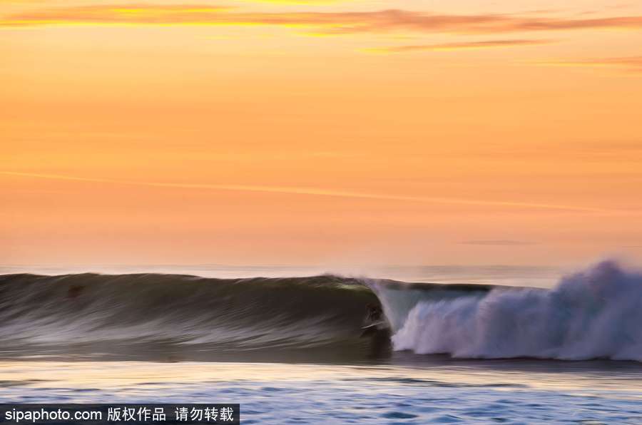 蔚藍國度 帶你領略神秘未知的海洋魅麗