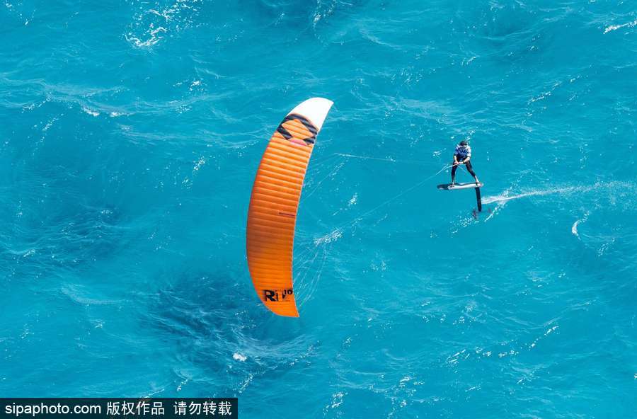 蔚藍國度 帶你領略神秘未知的海洋魅麗