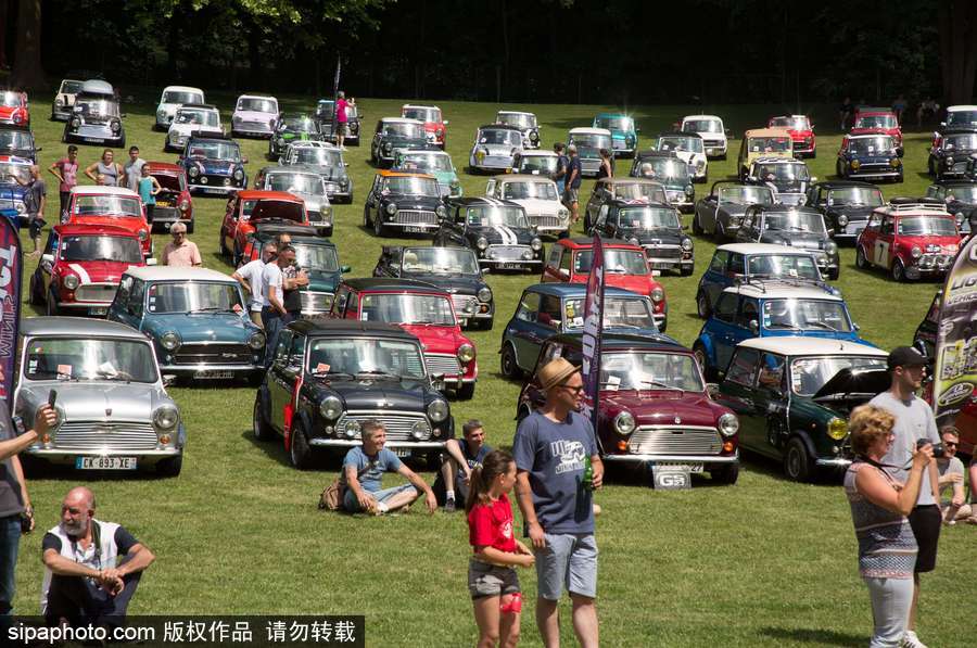 不老的經(jīng)典 法國舉行迷你車集會充滿懷舊復(fù)古氣息