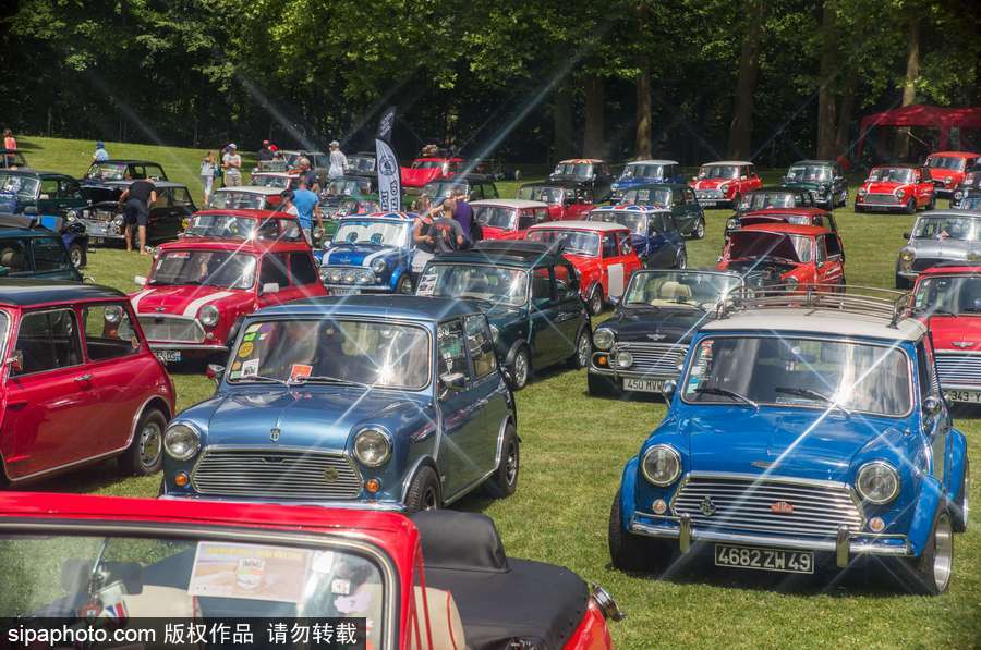 不老的經(jīng)典 法國舉行迷你車集會充滿懷舊復(fù)古氣息