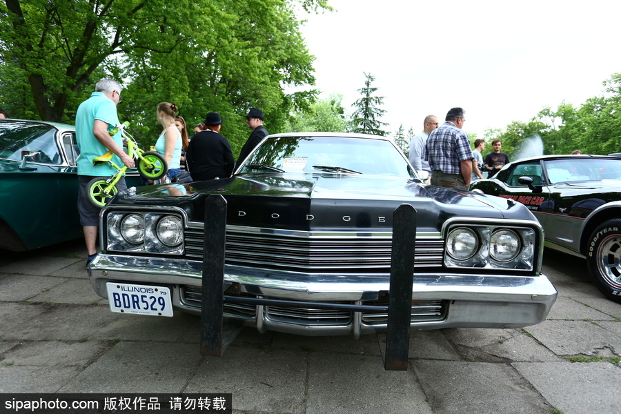 波蘭舉行復古車展 細數經典老爺車停留的歲月