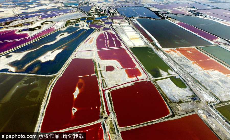 山西運城：持續高溫來襲 千年鹽池變身美麗七彩湖