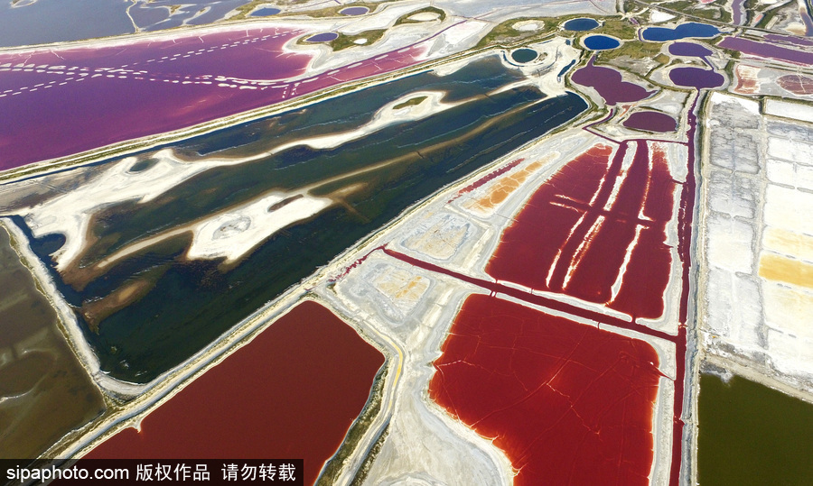 山西運城：持續高溫來襲 千年鹽池變身美麗七彩湖