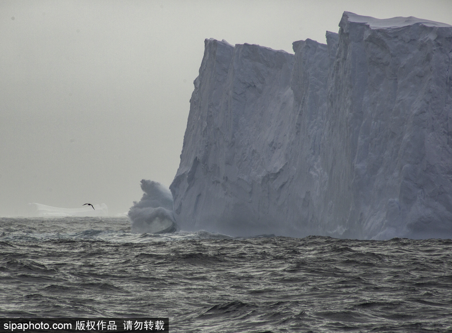 永遠沉睡的冰川大陸 南極洲絕美風光震撼你的視覺