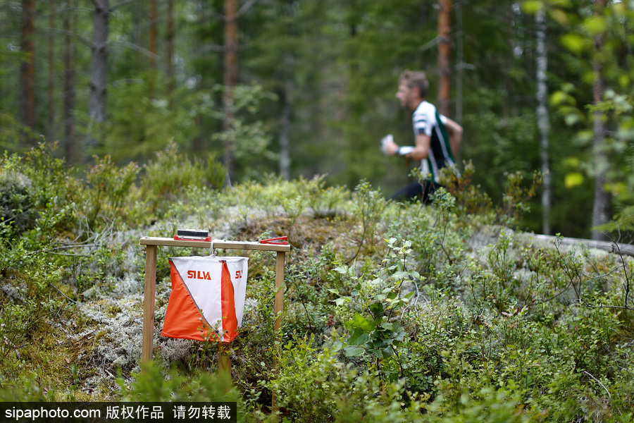 瑞典五日定向越野賽精彩開(kāi)幕 男女老少齊上陣挑戰(zhàn)耐力極限