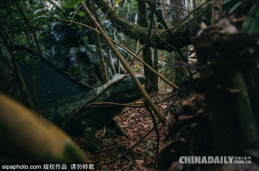 馬來西亞廢棄主題公園 似現實版侏羅紀公園