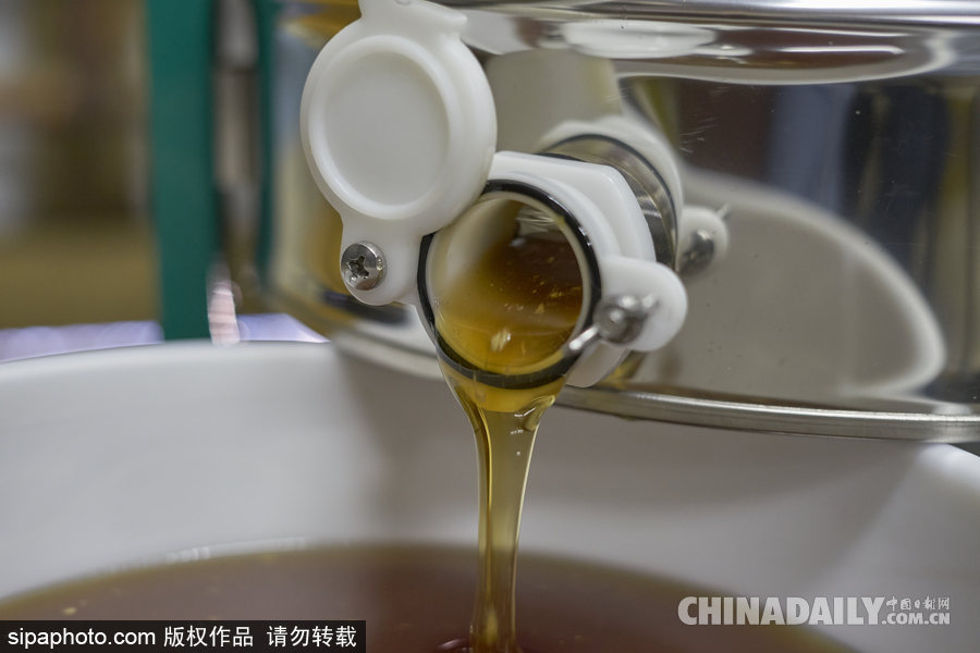 探訪美國弗農(nóng)養(yǎng)蜂場 滴滴香甜原生態(tài)