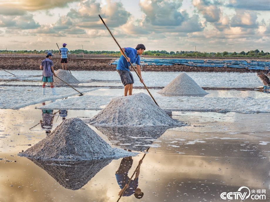 越南百里“銀灘”烈日下曬鹽畫面唯美