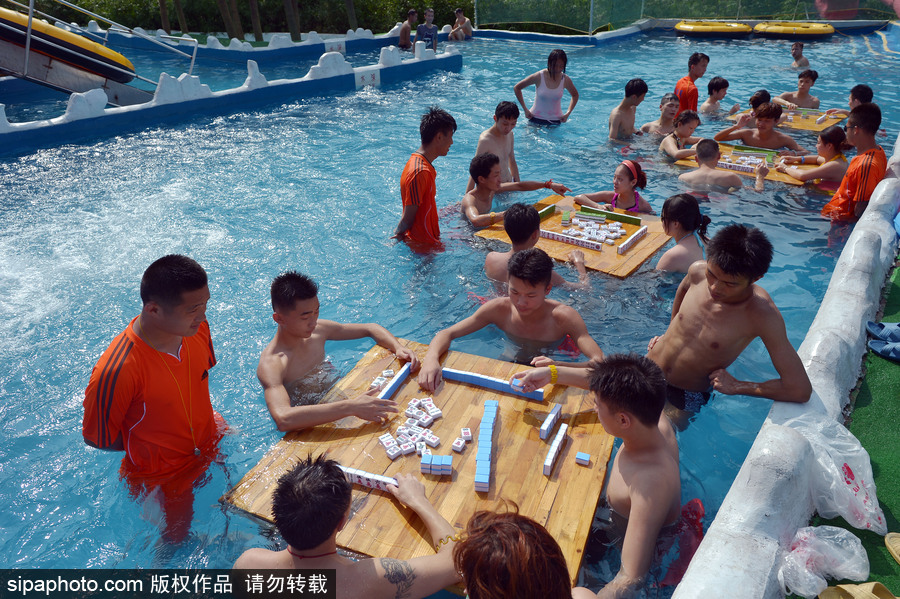 Word天！麻將或成為2022年冬奧會表演項(xiàng)目 中國國粹風(fēng)靡全球歪果仁也愛玩