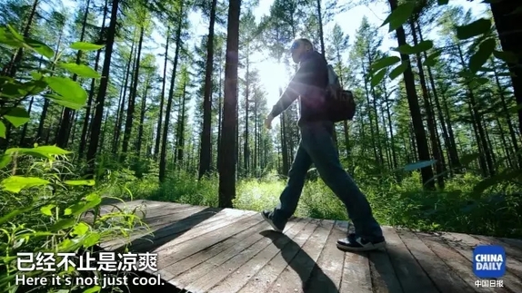 英國小哥到河北塞罕壩避暑，竟意外收獲了一個美麗的故事丨好運中國