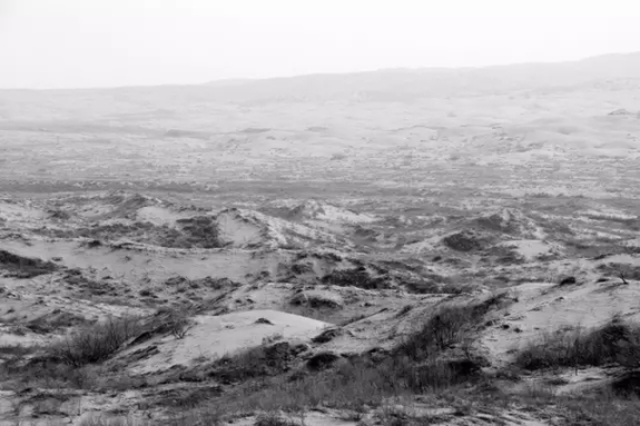 英國小哥到河北塞罕壩避暑，竟意外收獲了一個美麗的故事丨好運中國