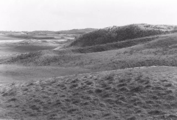 英國小哥到河北塞罕壩避暑，竟意外收獲了一個美麗的故事丨好運中國