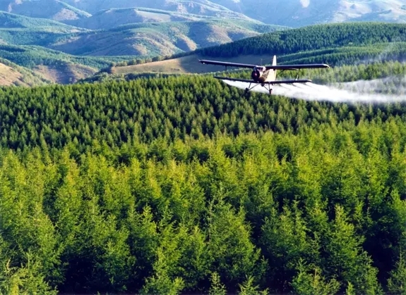 英國小哥到河北塞罕壩避暑，竟意外收獲了一個美麗的故事丨好運中國