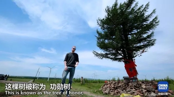 英國小哥到河北塞罕壩避暑，竟意外收獲了一個美麗的故事丨好運中國