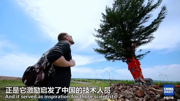 英國小哥到河北塞罕壩避暑，竟意外收獲了一個美麗的故事丨好運中國