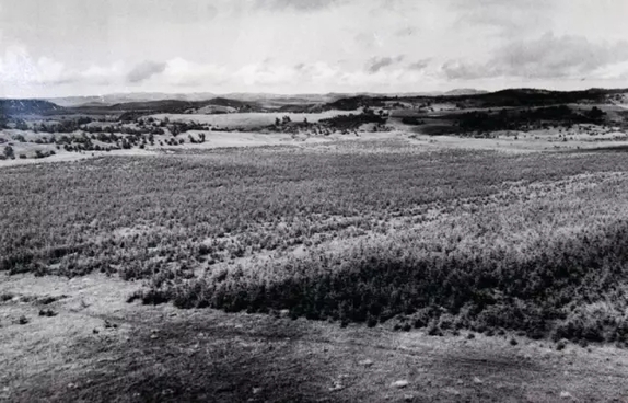 英國小哥到河北塞罕壩避暑，竟意外收獲了一個美麗的故事丨好運中國